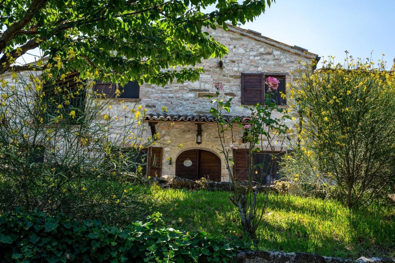 Villa Rustica Le Piagge Sassoferrato Exterior foto